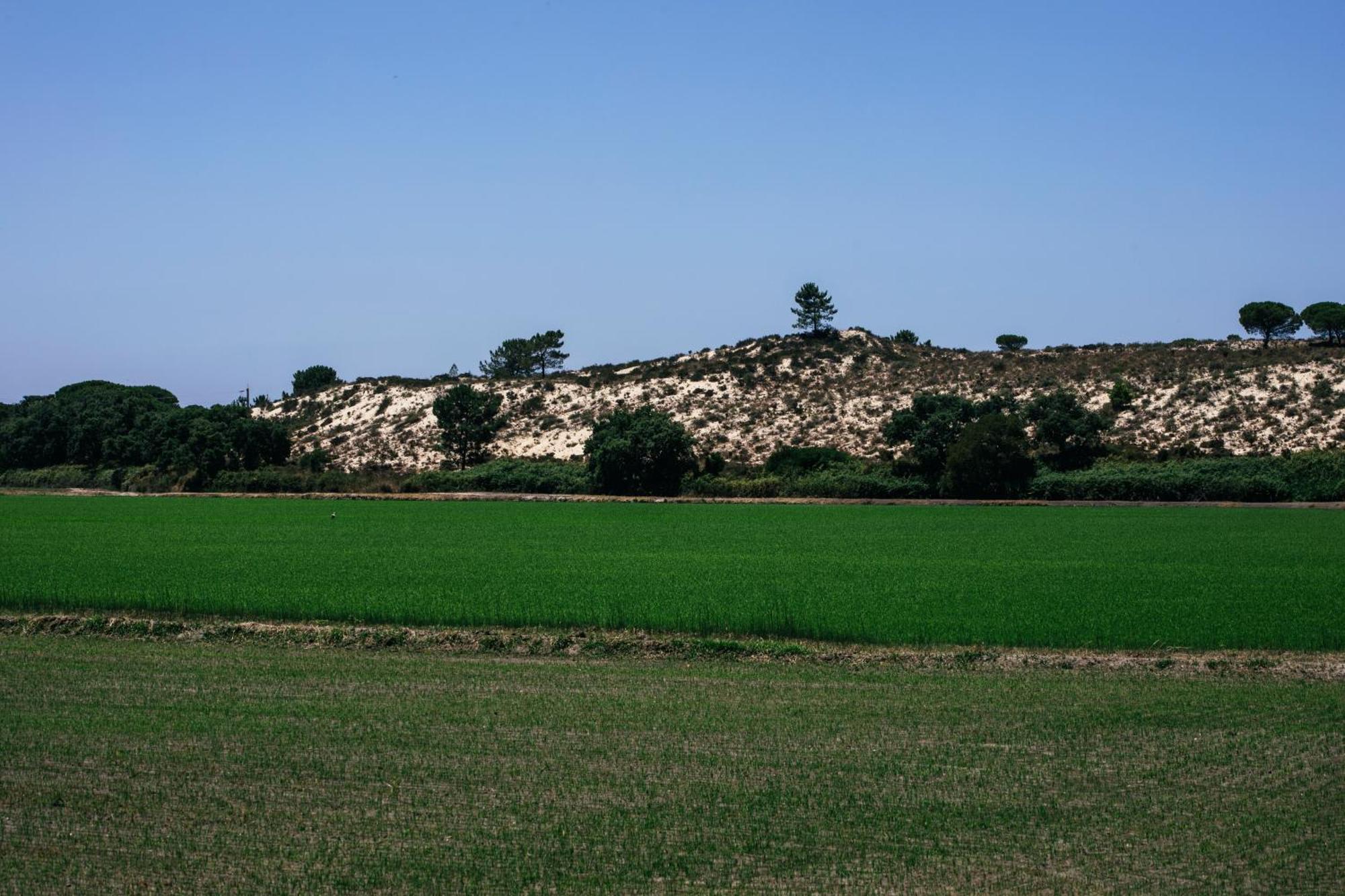 Herdade De Montalvo - Компорта Екстериор снимка