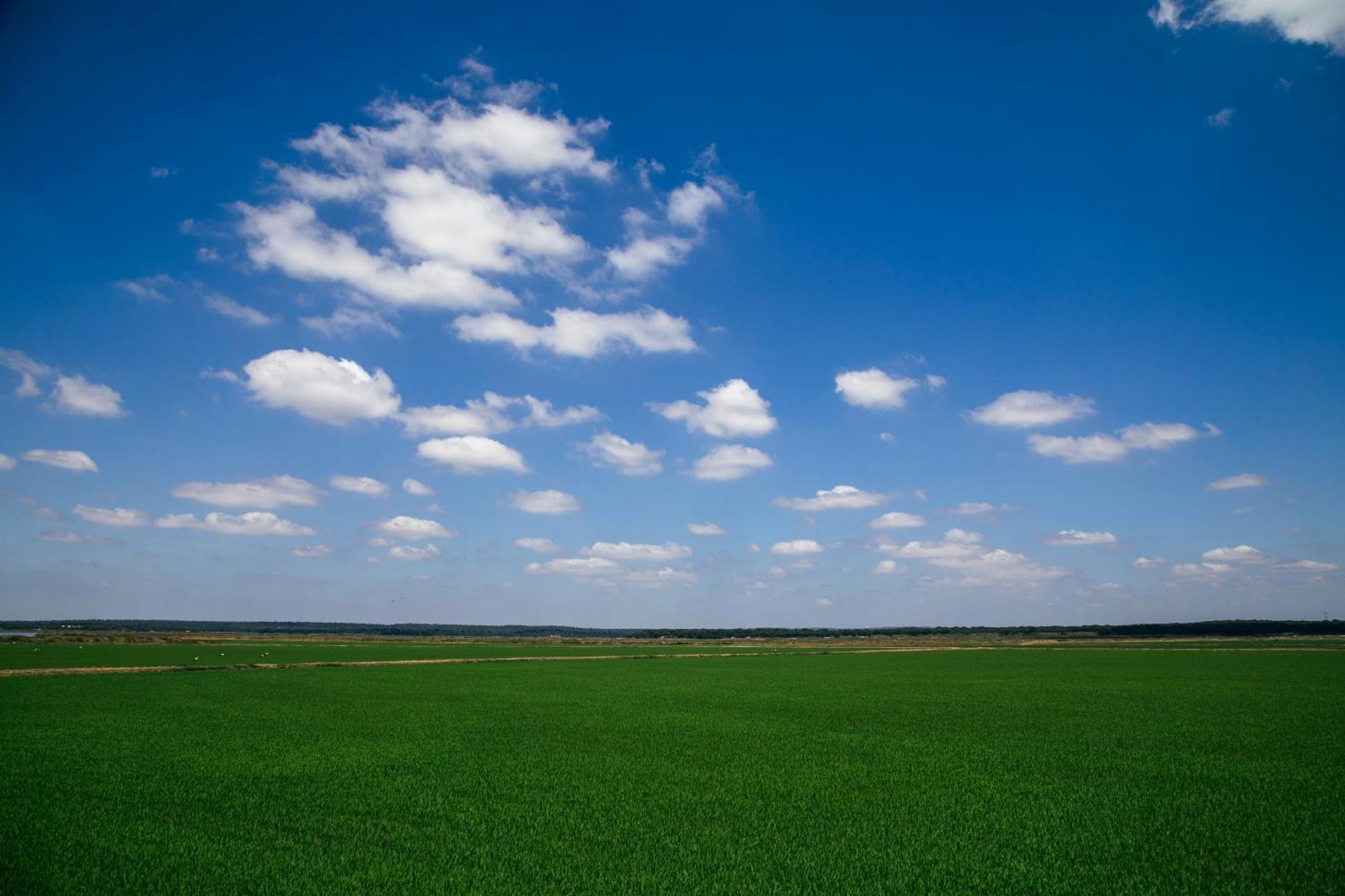 Herdade De Montalvo - Компорта Екстериор снимка