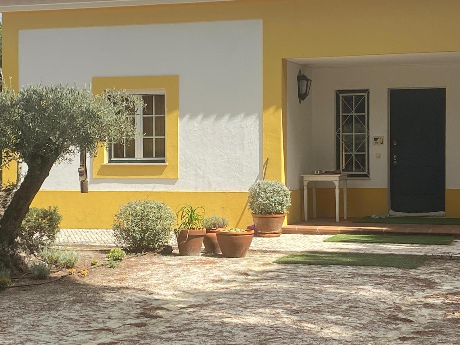 Herdade De Montalvo - Компорта Екстериор снимка